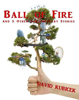 Book cover of Ball of Fire and 5 Other Contemporary Stories