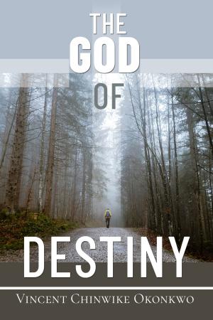 Cover of the book The God of Destiny by Dayssy Davila