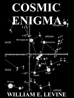 Book cover of Cosmic Enigma