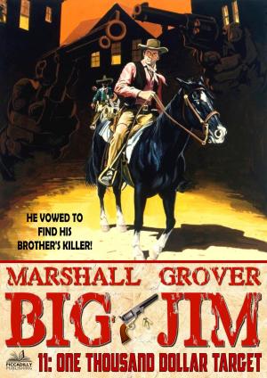 Cover of the book Big Jim 11: One Thousand Dollar Target by David Robbins