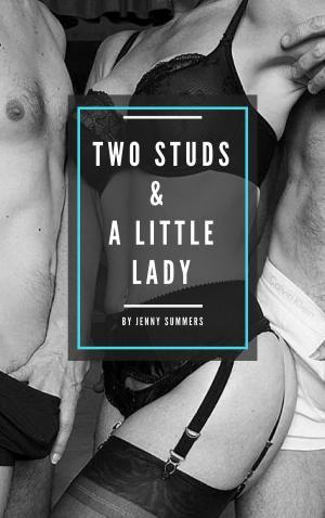 Cover of the book Two Studs & A Little Lady by Deborah Simmons