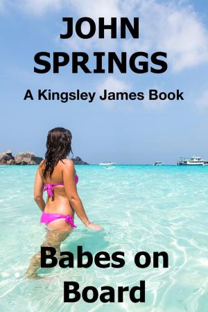 Book cover of Babes on Board: A Kingsley James Book