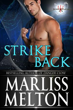 Book cover of Strike Back