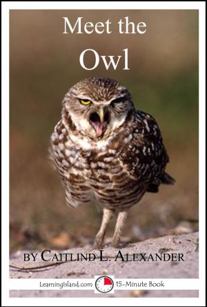 Book cover of Meet the Owl