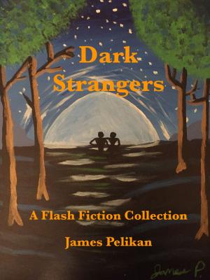 Cover of the book Dark Strangers by Jenna Payne
