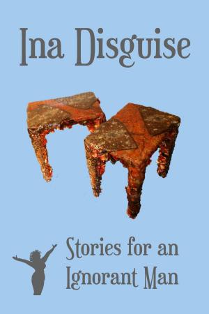 bigCover of the book Stories for an Ignorant Man by 