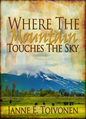 Cover of the book Where the Mountain Touches the Sky by Naomi Rawlings
