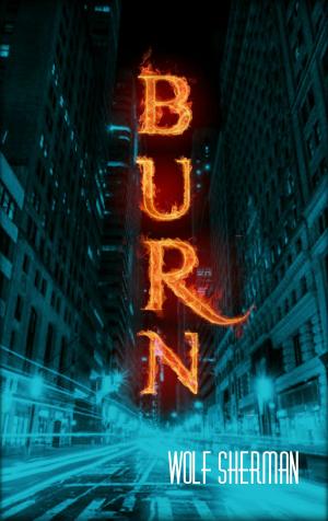 Cover of the book Burn by Wolf Sherman