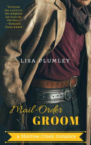 Cover of the book Mail-Order Groom by C. L. Stone