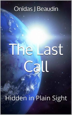 Book cover of The Last Call: Hidden in Plain Sight