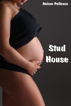 Cover of Stud House