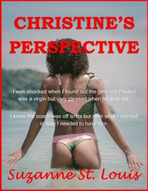 bigCover of the book Christine's Perspective by 