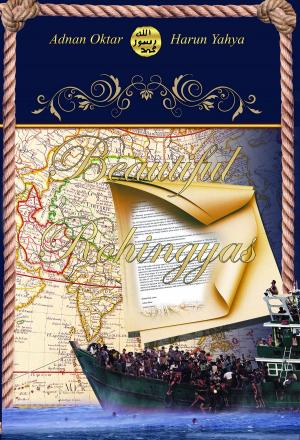 Book cover of Beautiful Rohingyas