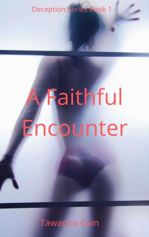Cover of A Faithful Encounter