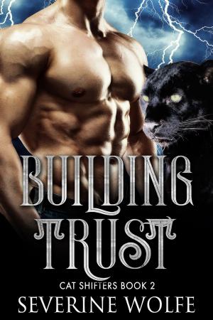 Cover of the book Building Trust by Cassidy K. O'Connor