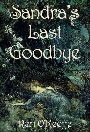 Cover of the book Sandra's Last Goodbye by Amy Schoeman