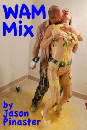 Cover of the book WAM Mix by Jason Pinaster