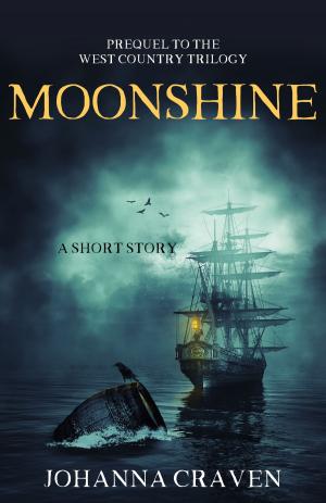Cover of the book Moonshine (West Country Trilogy Prequel) by Hugo Bettauer