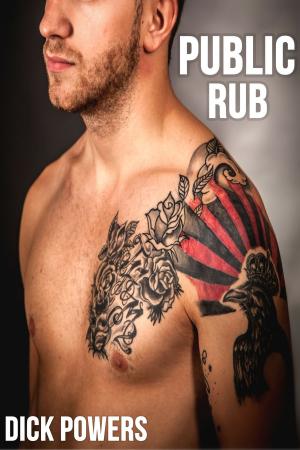 Cover of the book Public Rub by Dick Powers
