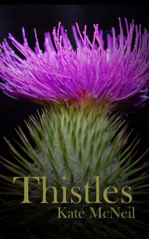 Cover of the book Thistles by Heinz Duthel