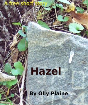 Cover of the book Hazel by S.L. Dearing
