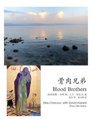 Cover of the book 骨肉兄弟 Blood Brothers by Joseph Hersh, Sadie Palmer, Becca Fisher, Emma Bieler, Abraham Troyer, Hannah King, Elizabeth Zook