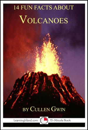 Book cover of 14 Fun Facts About Volcanoes