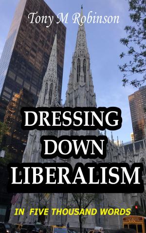 Cover of the book Dressing Down Liberalism in Five Thousand Words by Bernadette Snyder