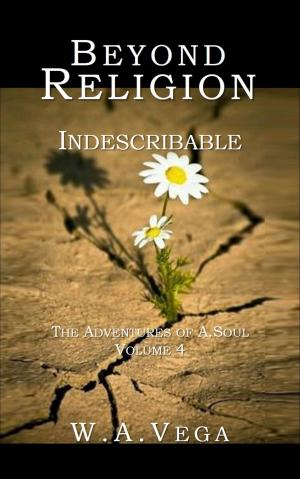 Cover of the book Beyond Religion: Indescribable by S.R. Claridge