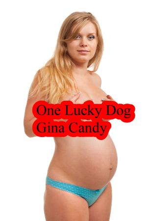 Cover of the book One Lucky Dog by Carla Pearce