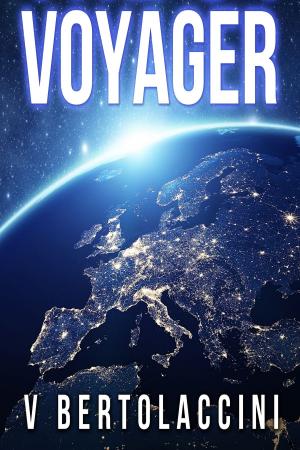 Book cover of Voyager S1