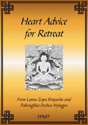 Book cover of Heart Advice for Retreat eBook