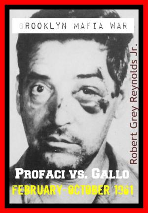 Cover of the book Brooklyn Mafia War Profaci Vs. Gallo February-October 1961 by Robert Grey Reynolds Jr