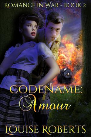 Cover of the book Codename: Amour by Jeffery Martin Botzenhart
