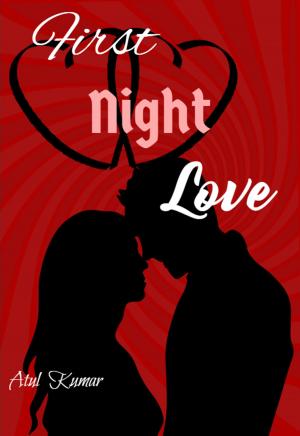 Book cover of First Night Love