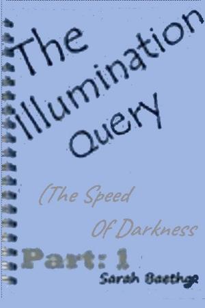 bigCover of the book The Illumination Query by 