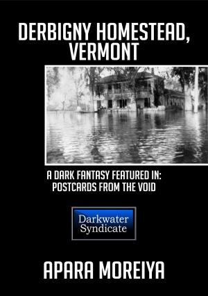 Cover of the book Derbigny Homestead, Vermont: A Dark Fantasy by Anthea Strezze