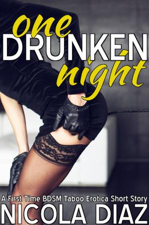 Cover of the book One Drunken Night by Nicola Diaz