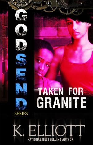 Book cover of Godsend 11:Taken For Granite