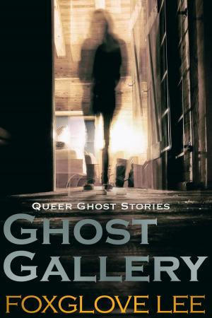 Cover of the book Ghost Gallery by Armada Volya