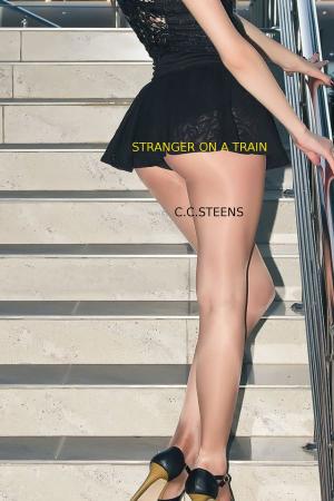Cover of the book Stranger On A Train by CC Steens