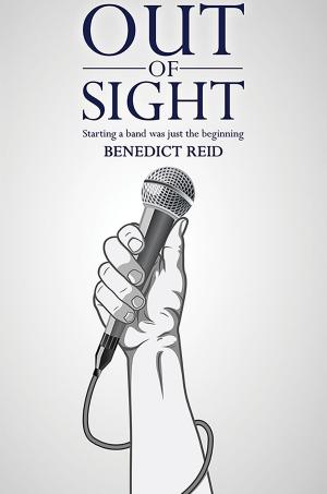 Cover of the book Out of Sight by Naureen Raahat