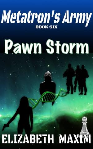 bigCover of the book Pawn Storm (Metatron's Army, Book 6) by 