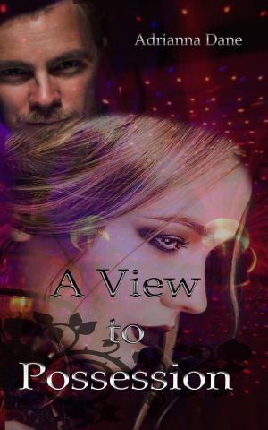 Cover of the book A View To Possession by J.R. Loveless