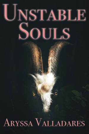 Book cover of Unstable Souls