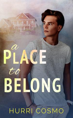Cover of the book A Place To Belong by Avery Flynn