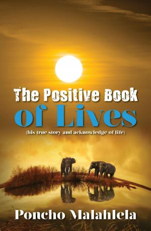 Cover of the book The Positive Book of Lives by 曾美智