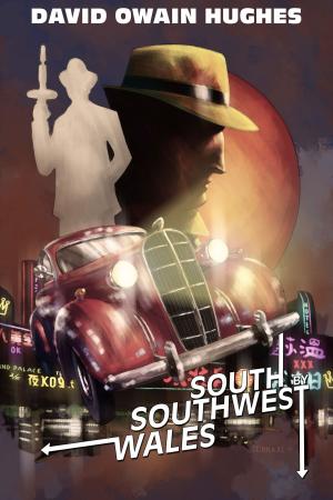 Book cover of South By Southwest Wales