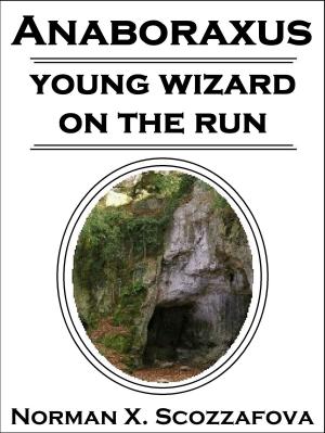 Cover of the book Young Wizard on the Run by Claude E. Beaumont-Cursonn