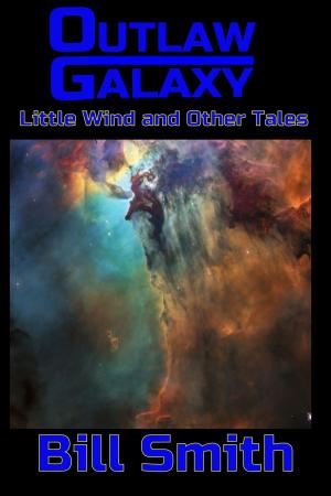 Book cover of Outlaw Galaxy: Little Wind and Other Tales